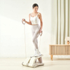 Mini Air Pressure Twist Stepper with LCD Monitor & Resistance Bands, 120KG Load Home Indoor Air Fitness Stepper Workout Equipment | Factory Direct Wholesale Only, OEM ODM Private Label Customization A